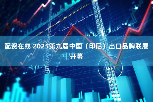 配资在线 2025第九届中国（印尼）出口品牌联展开幕